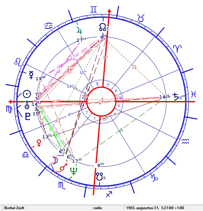 Borkai Zsolt horoszkópja